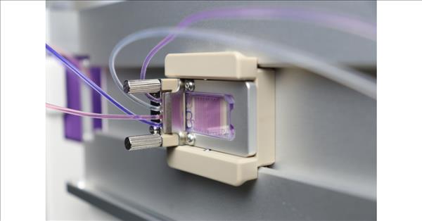 Particle Works Is Optimizing Mrna Lnp Formulation With Automated