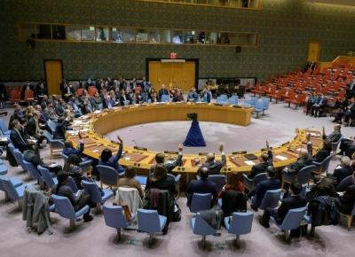 UNSC Adopts Resolution Calling For Humanitarian Pauses Corridors In