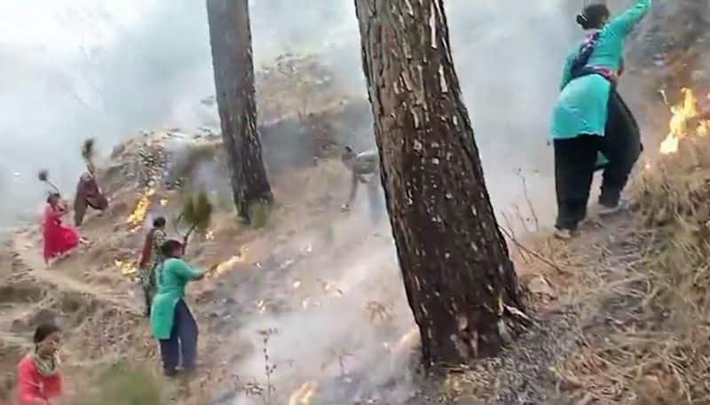 Uttarakhand Forest Fires Locals Try To Douse Raging Flames As New