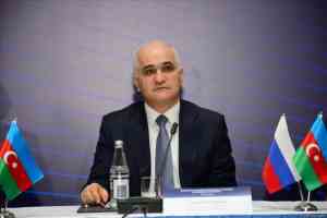Azerbaijan's Gafarova Meets With Bahrain Representatives Council Speaker...