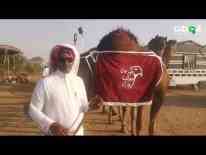 برونزية جديدة للدراجات البحرينية في الأولمبياد الخليجية...