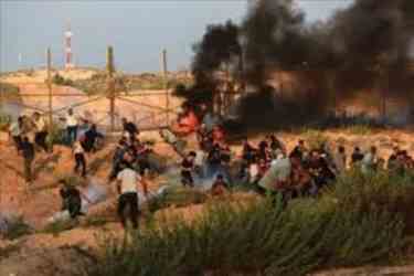 Israeli Forces Detain 19 Palestinians In West Bank Raids...