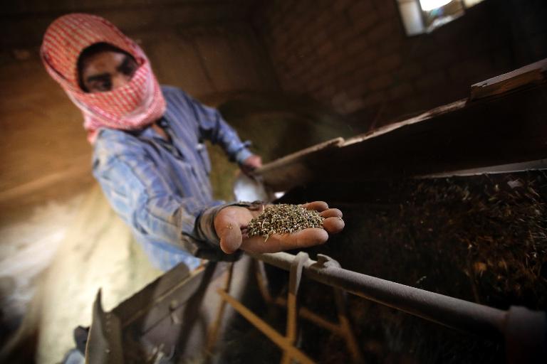 Lebanon cannabis trade thrives in shadow of Syrian war