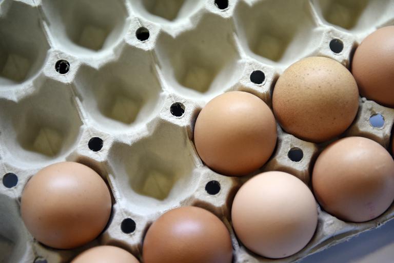 US egg prices soar as avian flu batters poultry industry