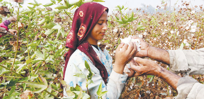 Egyptian cotton of UK royalty, Dior vanishing on farm aid cut
