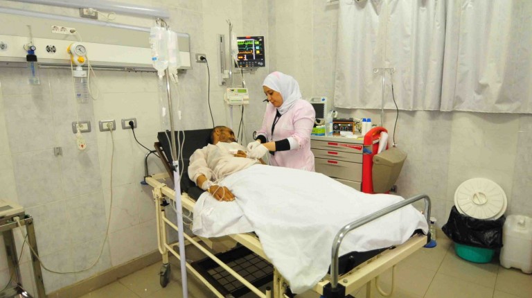 Egypt- Access to health care remains grim despite constitution article