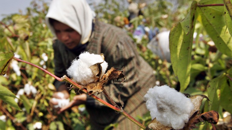 Cotton Spinning and Weaving Co to pump EGP 150m into 8 subsidiaries