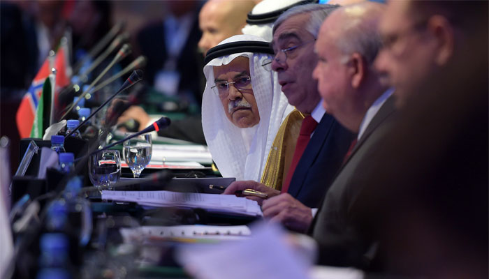Saudi says fossil fuels still needed despite global warming fears