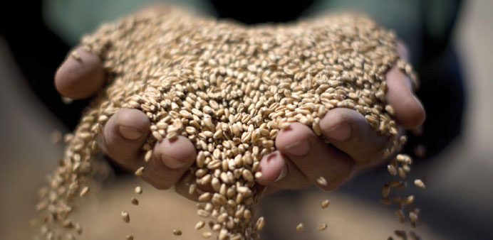 Russian, French wheat sellers duke it out for Egypt business