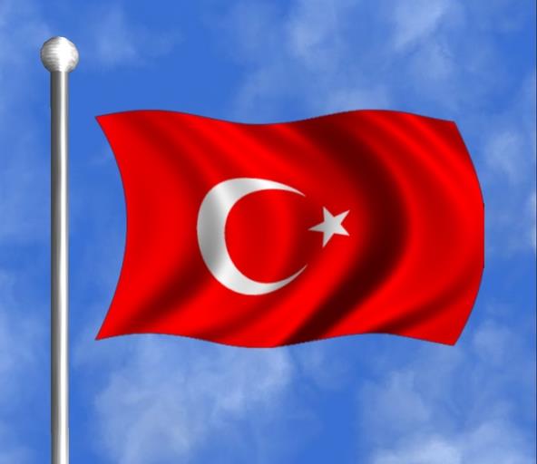 Three Turkish policemen, child injured in bomb blast in Mardin