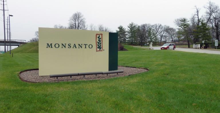 Monsanto to cut more jobs as it reports quarterly loss