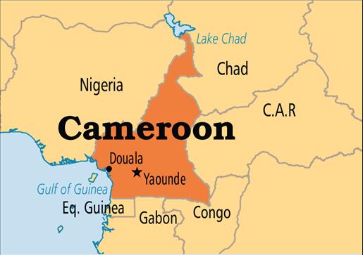 Women suicide bombers kill four in north Cameroon