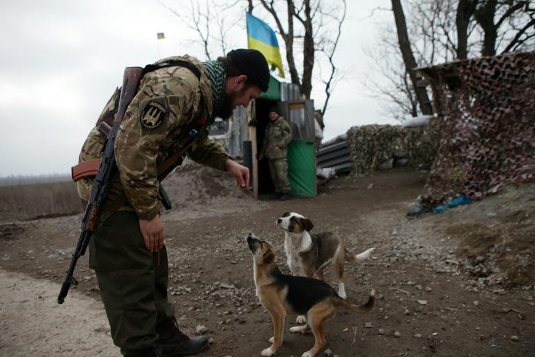 Cats and dogs: fighters' best friends in east Ukraine