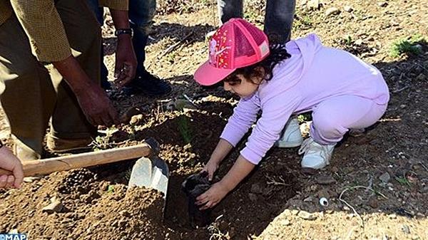 Morocco Plants One Million Trees in One Day