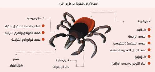 السعودية- LYME مرض خطير يعود للانتشار بأميركا السعودية- LYME مرض خطير يعود للانتشار بأميركا