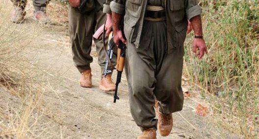 9 PKK terrorists killed in Iraq says Turkish military