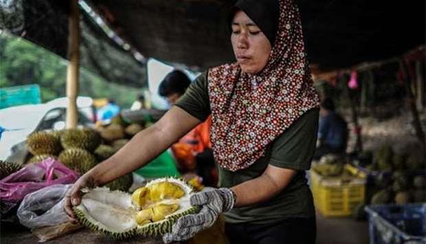 Secrets of famously pungent durian fruit revealed