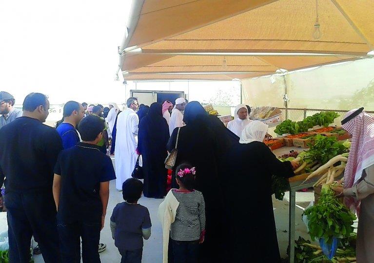 Qatar- Winter vegetable markets to open from Thursday