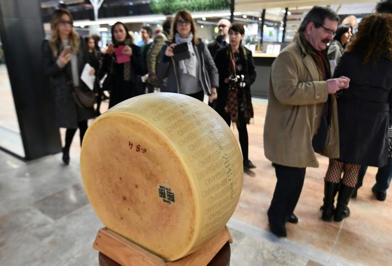 Italy's top cheeses 'products of cruelty': campaign