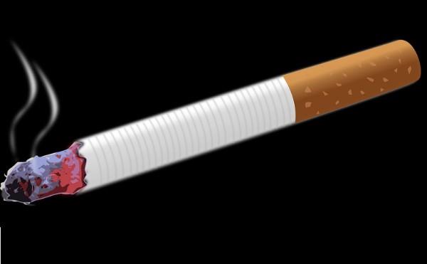 effects of tobacco smoke Tobacco Smoking Effects! Trivia Quiz