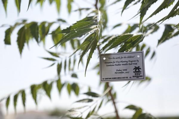 UAE- EEG, Sumitomo Rubber Middle East plant indigenous trees