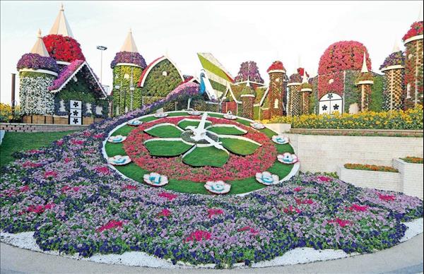 50 million blooms to wow visitors at dubai miracle garden | menafn