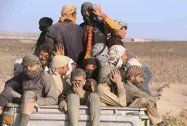 Hundreds of Afghans flee country through Nimroz border daily