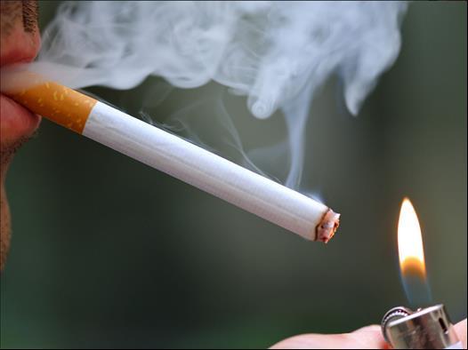 Parliament proposes to monitor law on tobacco products
