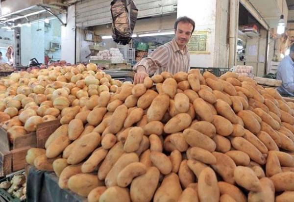 Gov't to set price ceiling for potatoes