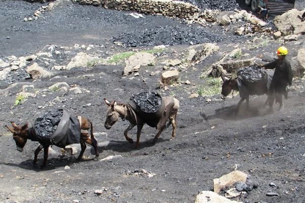 Afghanistan- Samangan coalmines revenue exceeds last year's limit