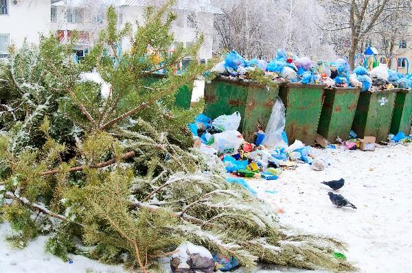 'Tis the season to redesign and reduce our waste
