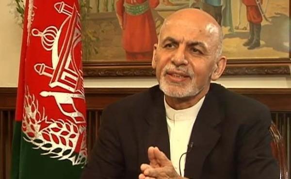 Afghanistan- Hashimi appointed as IEC commissioner Afghanistan- Hashimi appointed as IEC commissioner