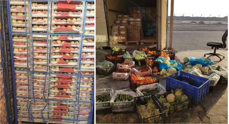 Qatar- Agricultural Quarantine Offices destroy 54 imported consignments