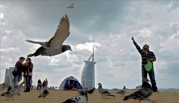 Temperature to fall further, cloudy weather to prevail in UAE