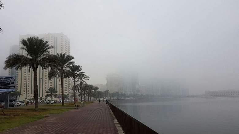 UAE to experience fog, rain until Tuesday