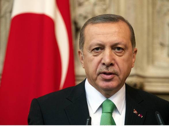 Erdogan criticizes European Parliament's resolution on Syria's Afrin
