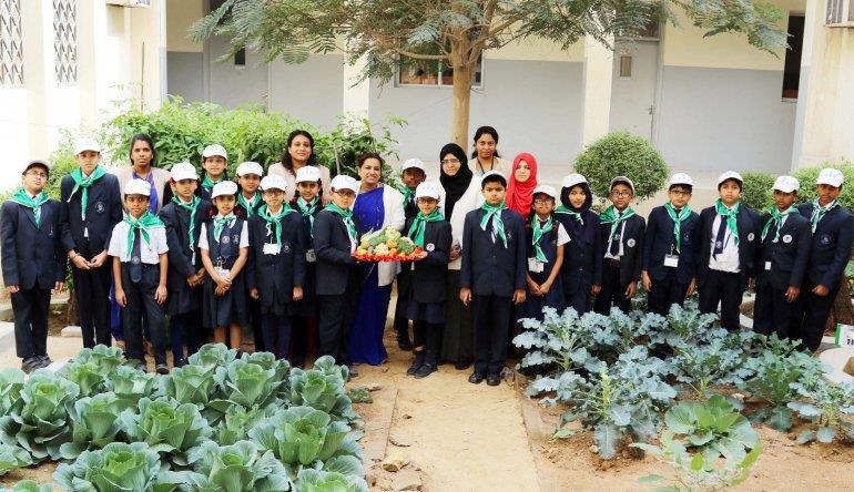 Qatar- MES Kitchen Garden initiative gets first harvest
