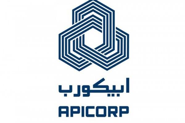 UAE leads region in renewable energy: APICORP