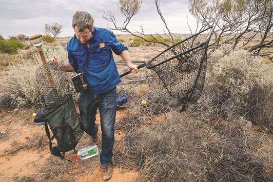 Qatar- Third of Australia's threatened species not being monitored Researcher Hugh McGregor carrying monitoring gear at the Arid Recovery Reserve near Roxby Downs in South Australia.