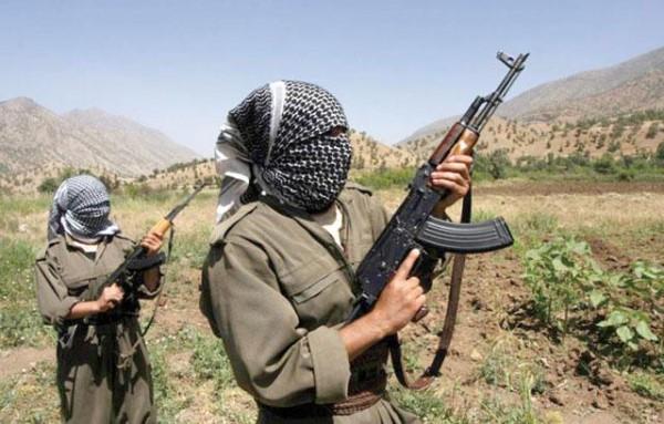 Erdogan says Turkey presses North Iraq PKK operation