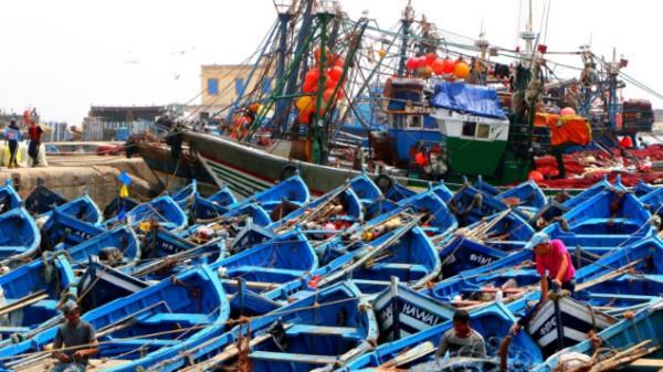 European Fishing Boats to Leave Morocco after Renewal Negotiations Failed