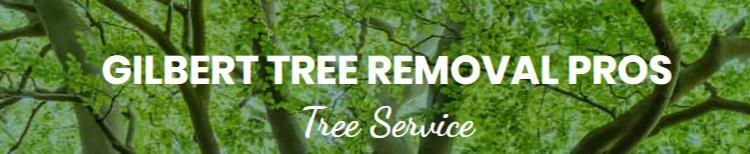 Gilbert Tree Removal Pros Now Offering Palm Tree Removal Service in Gilbert, AZ