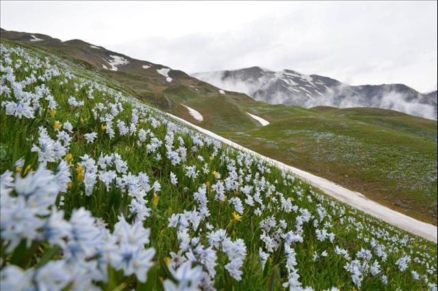 Free Entrance Days In National Parks [PHOTO] | MENAFN.COM