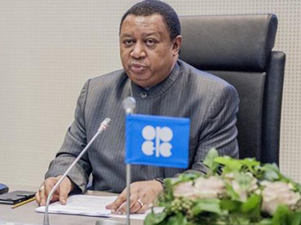 Barkindo: OPEC has vested interest in continued growth of U.S. ...