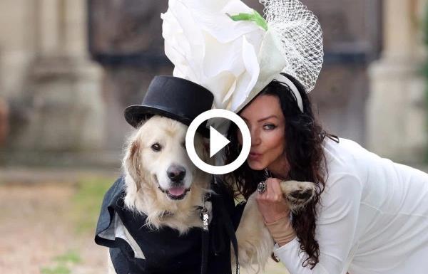 Dog marrying british woman a British Woman