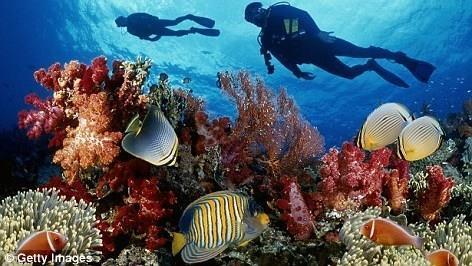 Costa Rica's Coral Reefs: Great Snorkeling Spots Costa Rica's Coral Reefs: Great Snorkeling Spots