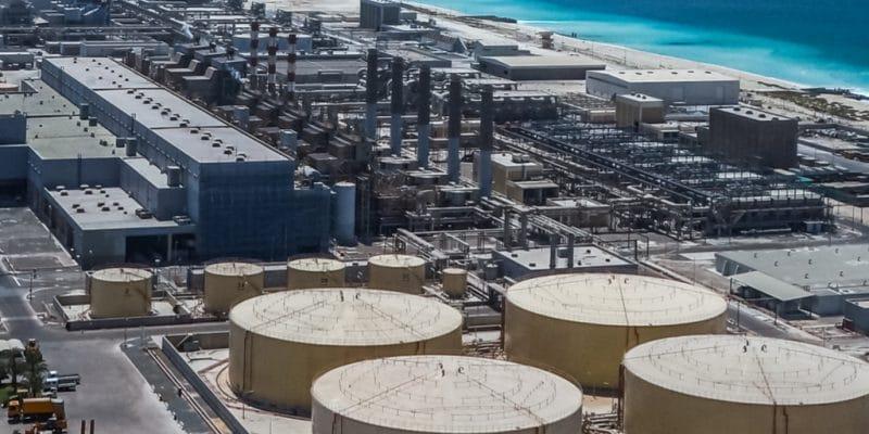 UAE company offers to establish $800m desalination plants in Egypt