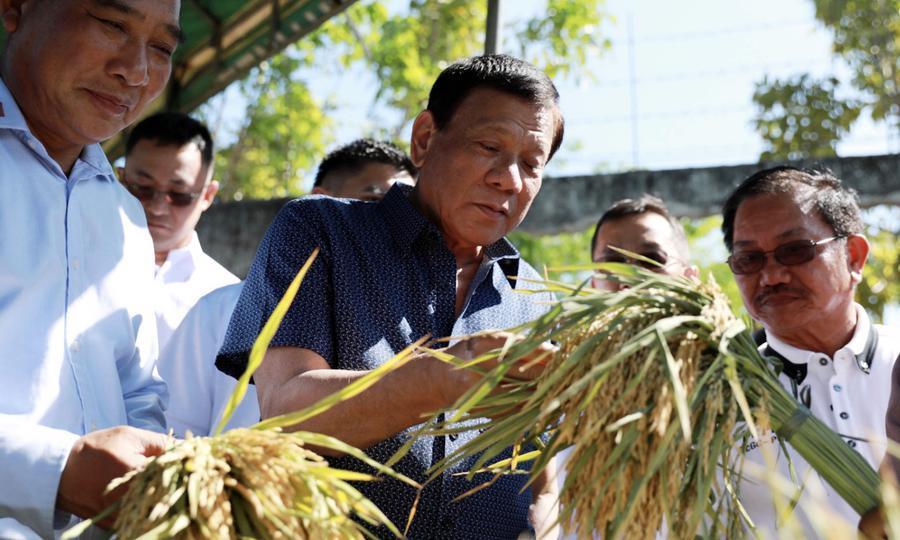 Duterte's rice policies sow confusion and doubt