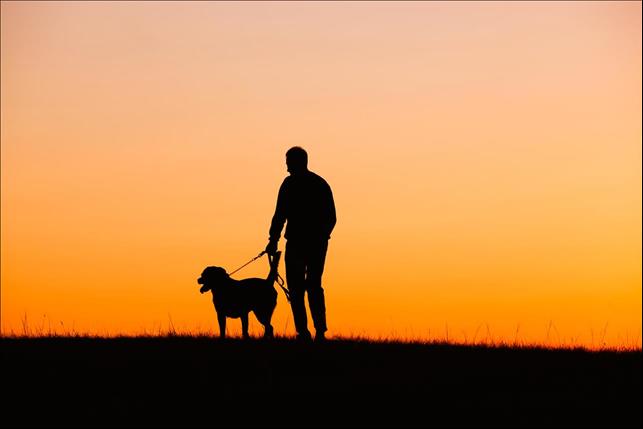 Why losing a dog can be harder than losing a relative or friend