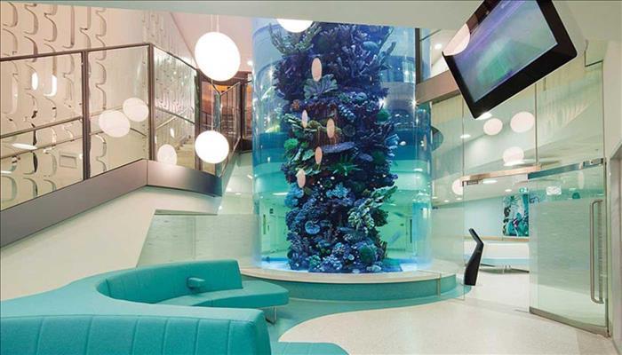 530+ Design Aquariums Gratis Terbaik